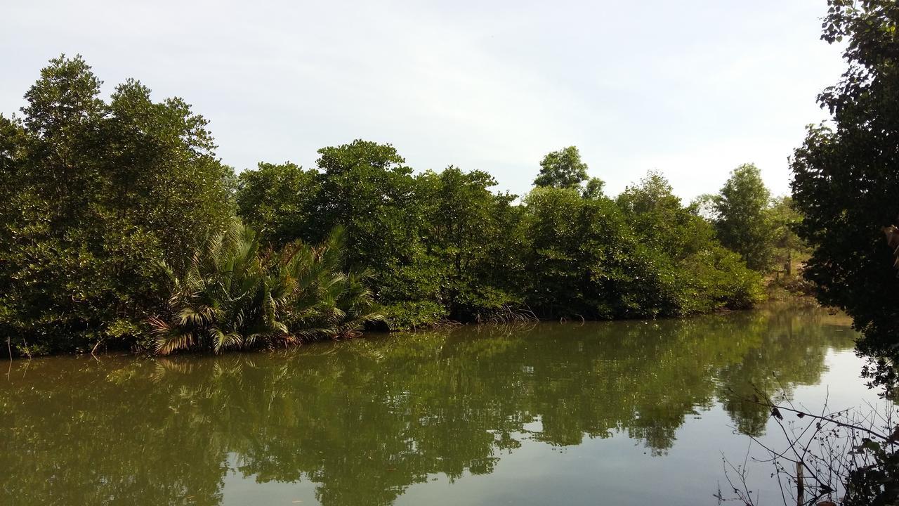 Mangroves & More @ Cambodia Сиануквиль Экстерьер фото